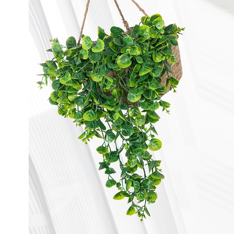Eucalyptus Varen Rotan Kunstma - Artificial Hanging Plants recensie en prijs