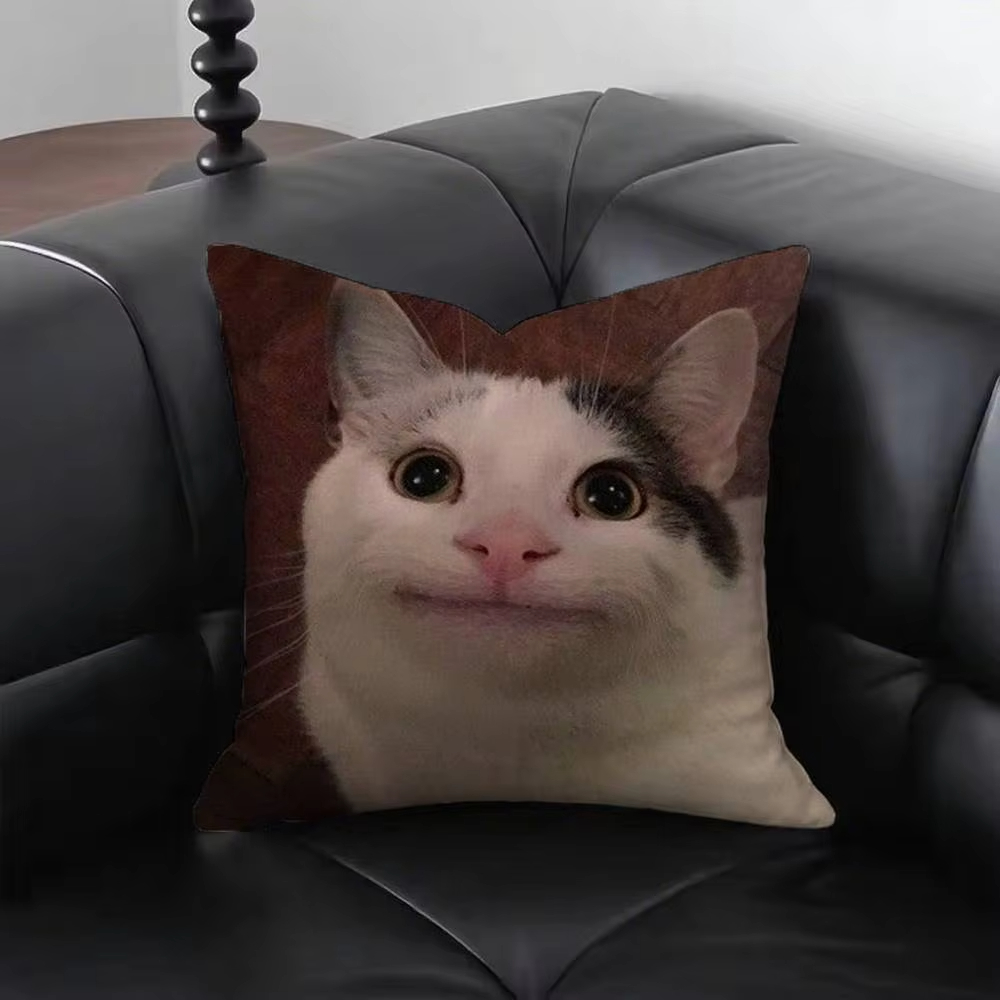 Grappige Kat M-Meme Kussensloo - Home Decor Emoji recensie en prijs