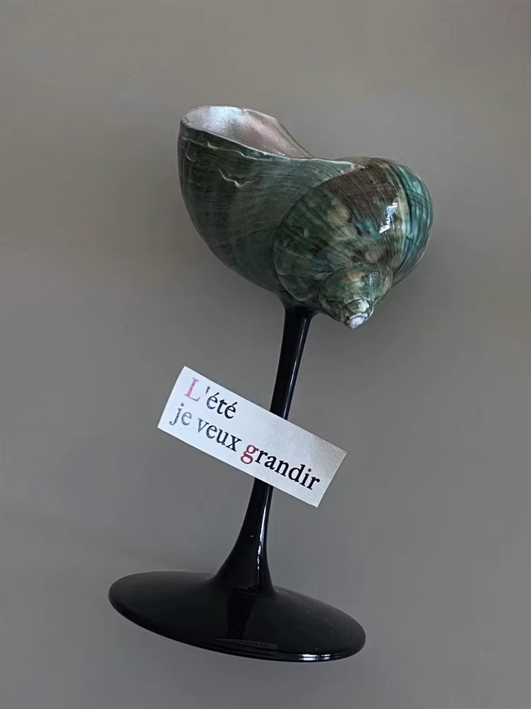 Creatief Retro Niche Wijnglas  - Home Decor Niche recensie en prijs