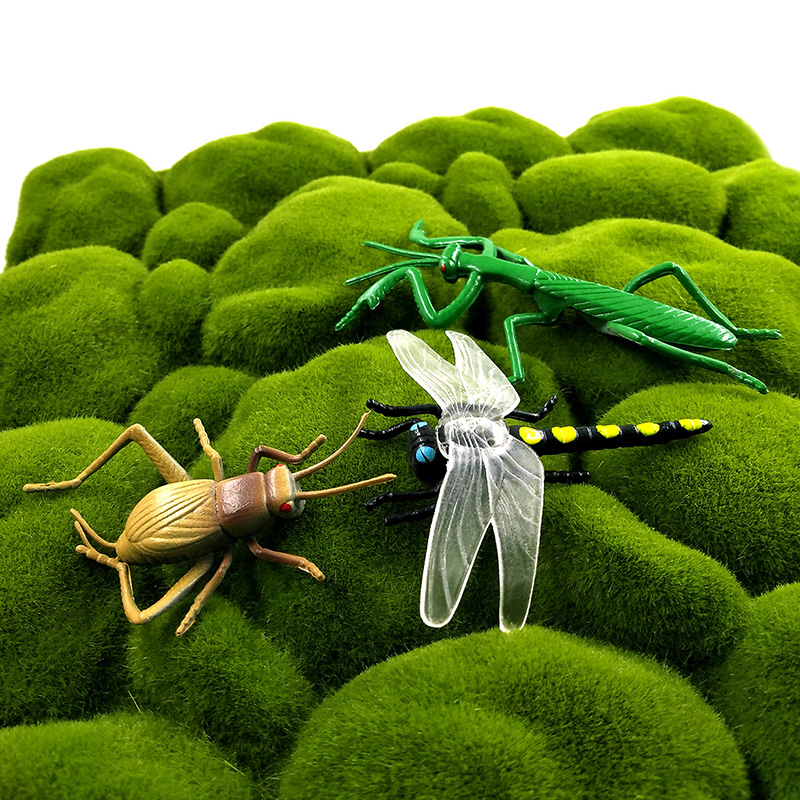 12 stuks insecten dierenmodel  - Home Decor Humacao recensie en prijs