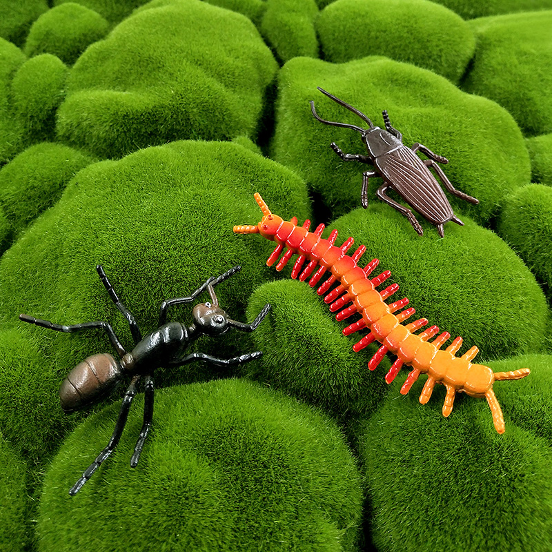 12 stuks insecten dierenmodel  - Home Decor Humacao recensie en prijs