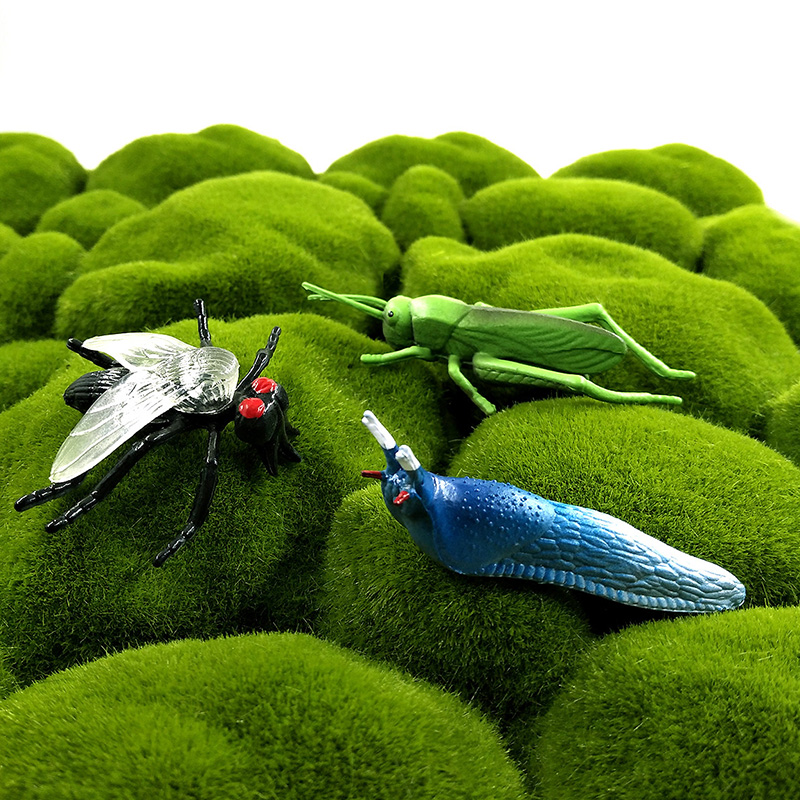 12 stuks insecten dierenmodel  - Home Decor Humacao recensie en prijs