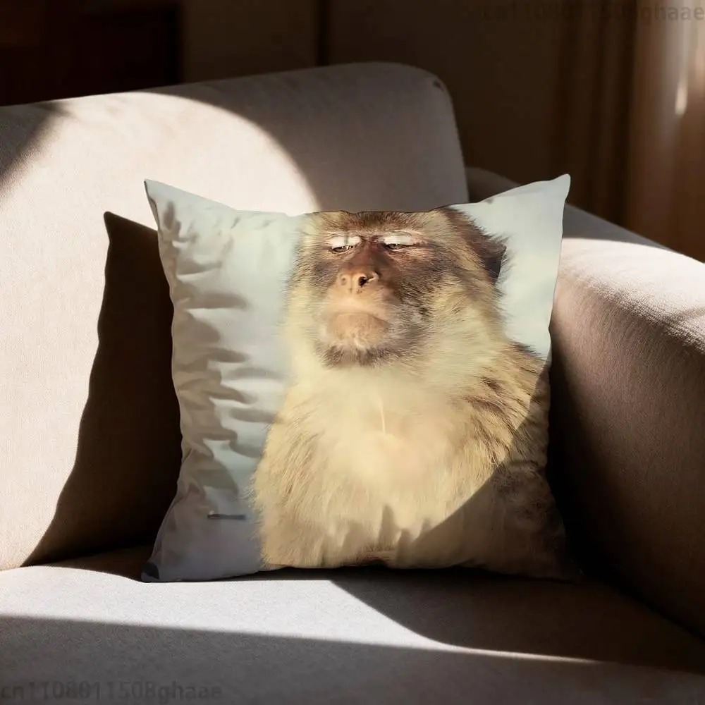 Grappige Meme Aap Kussenhoes L - Home Decor Emoji recensie en prijs