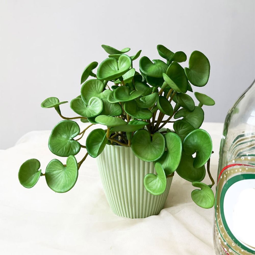 Zachte lijm Kunstplant EVA Gro - Artificial Hanging Plants recensie en prijs