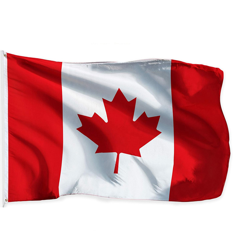 2026 Wereldgroep B Canada Bosn - Home Decor Qatar recensie en prijs